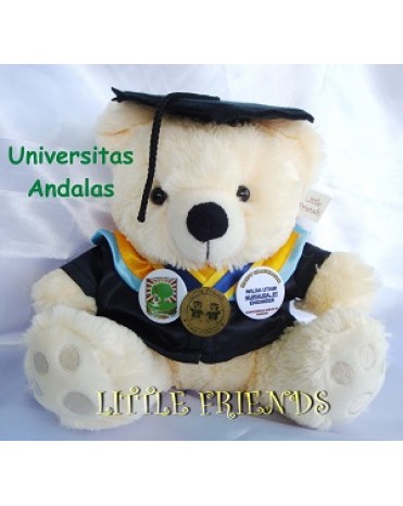 Boneka Wisuda Universitas Andalas - Teknik (30 cm)